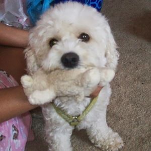 Meet your Posher, Daniela